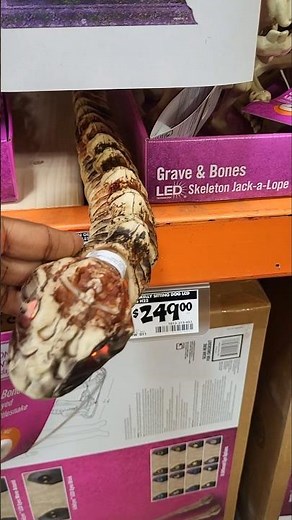 Spooky Skeletons At Home Depot!