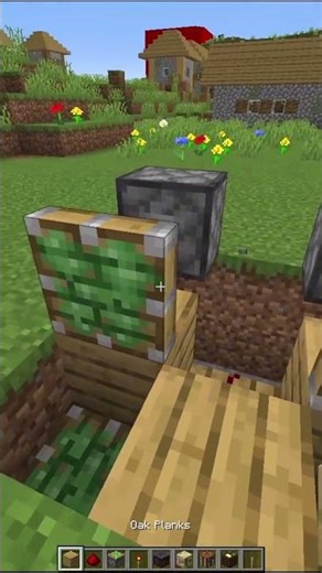 Minecraft Block Swapper