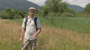 Pro Natura - Ensemble - Play RTS