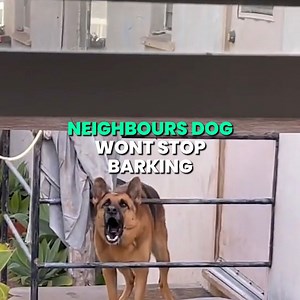 He just wants some peace and quiet! 🤣 | IGV