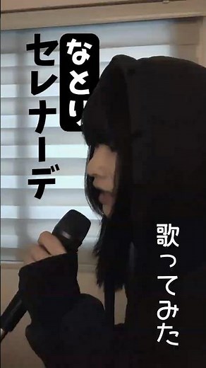 セレナーデ 歌ってみた | コンマ