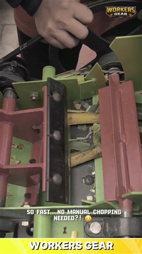 Compact Corn Processing Machine for Cutting and Feeding in Small-Scale Farming Operations