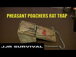 Pheasant Poachers Rat Trap