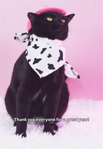 Cleo’s 2025 Year in Review: Adorable Moments