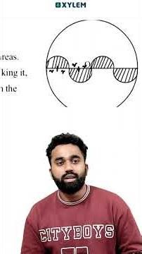 A+ Question - Don't Miss It