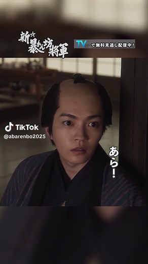 新・暴れん坊将軍の魅力と見どころ