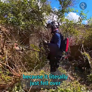 The never ending garden! In this episode of recovering Peggy's garden we tackle even more brambles.. and crack on with the fence repairs! | Flawless Cleaning services