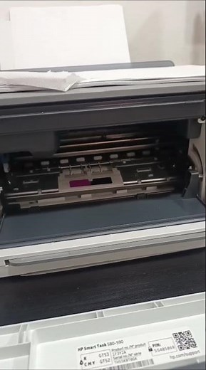 The printer has air in the hoses