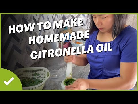 How to Make Homemade Citronella Oil #howto