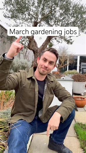 Gardening jobs for March #garden #gardeningtips