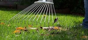 Fall Lawn Troubleshooting | DoItYourself.com