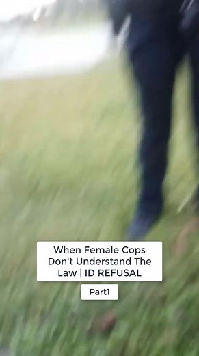 #auditthelaw #lawlawyer #audit #law | lawyer