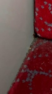 Nooooo 😨 | The Mirror