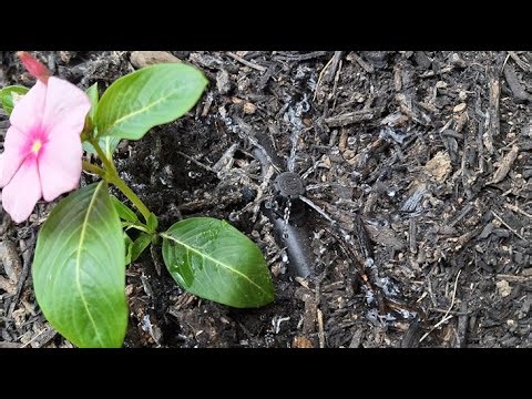 Choosing the Raindrip Irrigation System: A Step-by-Step Guide