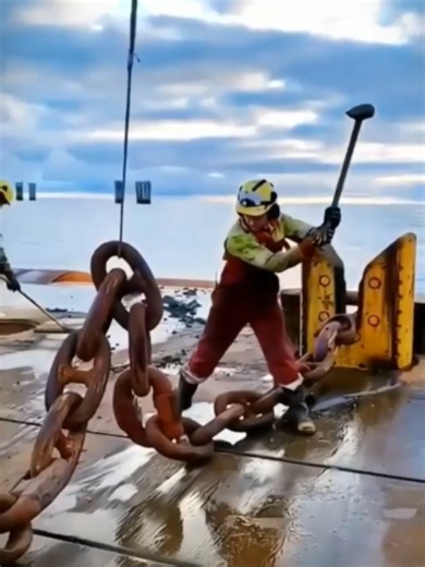 Mer du Nord : faits, faune et rôle économique (pêche, pétrole, éolien)