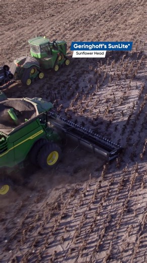 Geringhoff USA on Instagram: "Harvest sunflowers with ease! 🌻 The SunLite head from Geringhoff is the premiere choice for gentle yet efficient sunflower harvesting. ✔️ Row-independent design to harvest in any direction ✔️ Adjustable 24" feeding auger carefully handles plants ✔️ Trough shaped pans are tapered to minimize crop loss ✔️ Integrated seed catchers prevent seeds from falling … and that’s just the beginning of the Geringhoff Advantages offered by the SunLite sunflower head. Use link in 