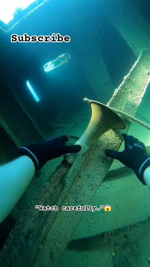 “One Dive = Lifetime Discovery”😭 #marinemystery #deepsea #underwater #ocean #sea #divng #gopro