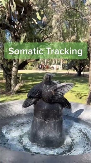 Somatic Tracking