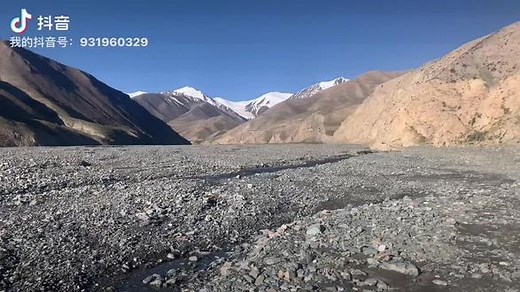 终于追踪到野生猞猁的脚印。这种美丽的神秘大猫。