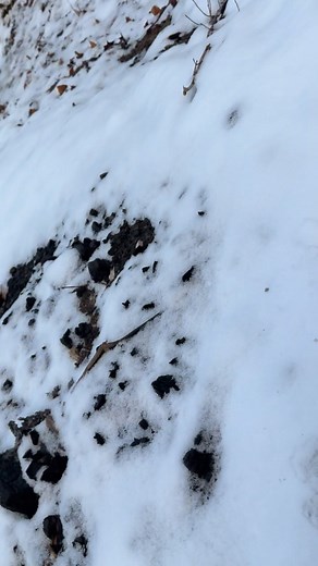 Gary Roberts on Reels