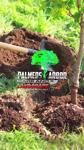Tree Transplanting Service - Palmers Tree And Lawn Care