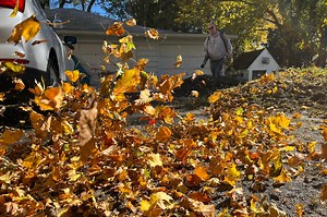 Leaf pick-ups in the Twin Tiers