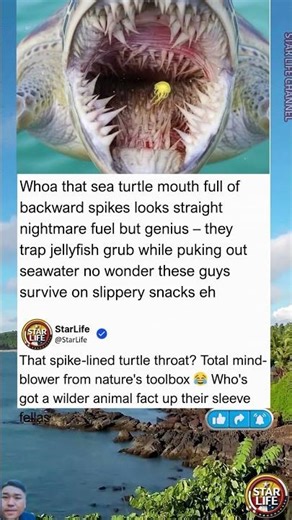 Sea Turtle Mouth Spikes: Anti-Vomiting Genius or Nightmare Fuel?