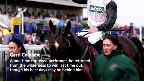 Randox Grand National 2026: Pinstickers’ guide