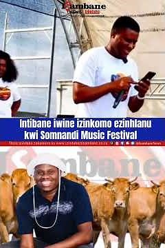 Intibane iwine izinkomo ezinhlanu kwi Somnandi Music Festival