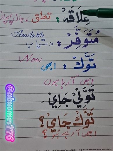 Learn Essential Saudi Dialect for Travelers