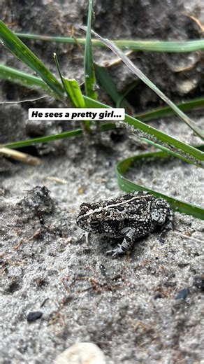 27K views · 1.2K reactions | He’s gonna keep on singing at the ️OAK...