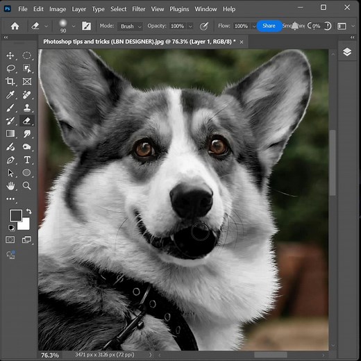 How to change dog colour in Photoshop | Photoshop tips and tricks