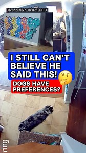 A Licky is a frozen food treat 🤣 Ripley wanted his regular food though! Amazing that he can articulate his preferences. Check out all the body language too. Did he nod after pressing FOOD? *Use code LETSGORIP for 12% off buttons ($50 )* #talkingdog #letsgoripley #ripleytalks #fluentpet #australianshepherd | Lets Go Rip