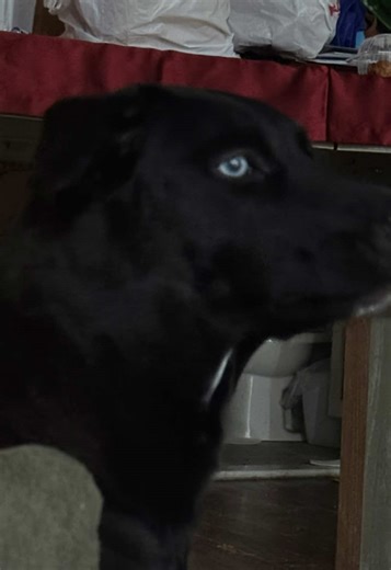 The Importance of Self-Reflection in Staying Single