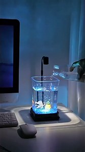 Betta Fish Tank for Desk - Small Desktop Aquarium Kit with Acrylic Design | Compact 4.7"x4.7"x7" Small Decorative Fish Bowl for Home, Office, Tabletop Decor (White Basic Edition)