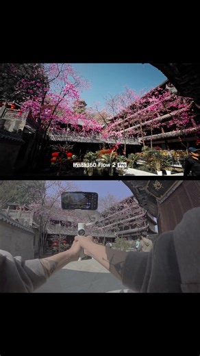 Phone Gimbal Sakura Shots with a Cinematic Spring Look 🌸 | Insta360 Flow 2 Pro