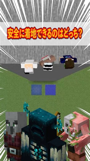 【マイクラクイズ】どっちが安全に着地できる？ #デジタネ