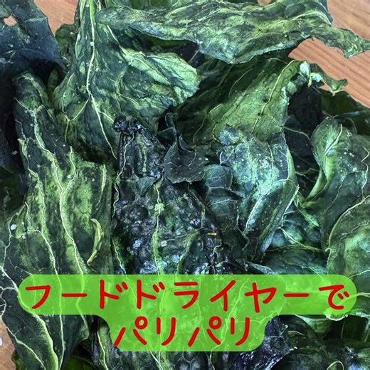 【自家製】菌ちゃん農法のケールで作る、素材を活かしたケールチップス #ケール #ケールチップス #菌ちゃん農法 #家庭菜園 #ヘルシーおやつ #旬を味わう #AI音楽
