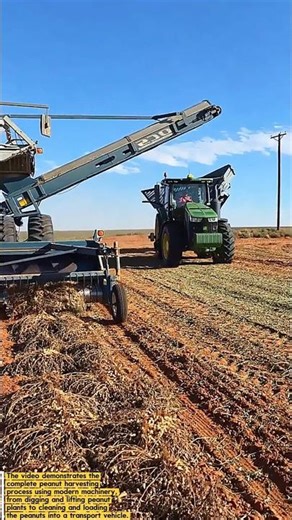 Advanced Peanut Harvesting Machine | High-Efficiency Peanut Harvester in Action