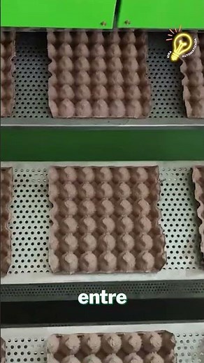 Stop wasting time! Egg carton making machine: make thousands of dollars from home