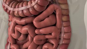 3M views · 118 reactions | Our proprietary probiotic DNA verified to...