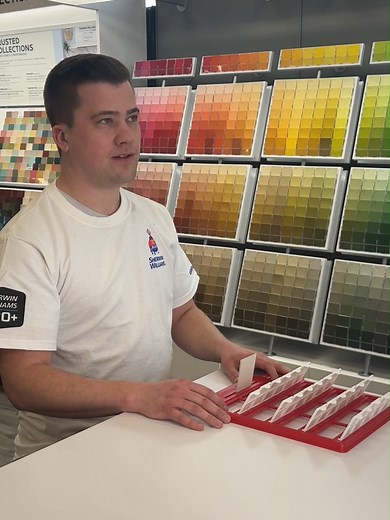 Exploring Agreeable Gray: Color Insights from Sherwin-Williams