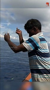 Sea Fish Catching Videos #fishing #fishingvideos #fishingtime