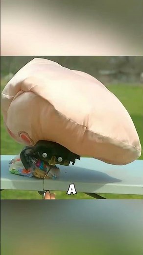 How SawStop Works 🤔