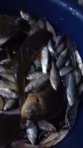 Lexe Allmedia on Reels