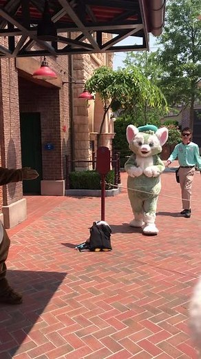 #奇奇蒂蒂的日常 #达菲托尼 东尼现在很喜欢去鼠滩嘛