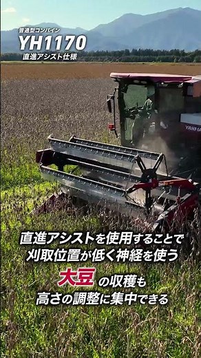 コンバインYH1170直進アシスト仕様 #作業動画 ＃収穫 #農業機械