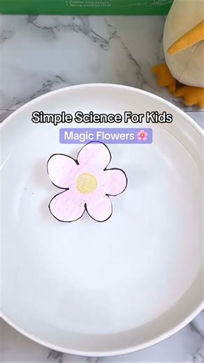 Simple Science - Magic Flowers DIY