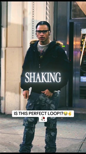 Discovering the Art of Perfect Loops in Video