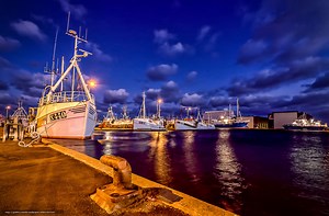 グッドナイト・レイディーズ Goodnight, Ladies メリーさんの羊